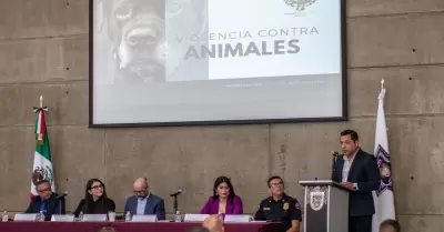 Las diferencias entre maltrato y crueldad animal