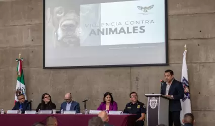 Las diferencias entre maltrato y crueldad animal