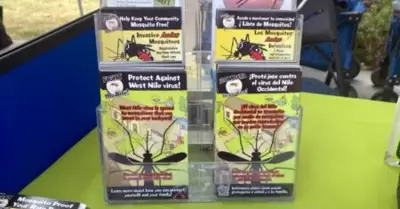 Informacin sobre mosquitos