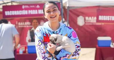 Mega jornada de zoonosis