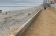 VIDEO: Comerciantes y vecinos respaldan la renovacin del Malecn de Playas de Tijuana