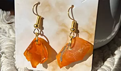 Genera gobierno del estado oportunidades para mujeres de Isla de Cedros