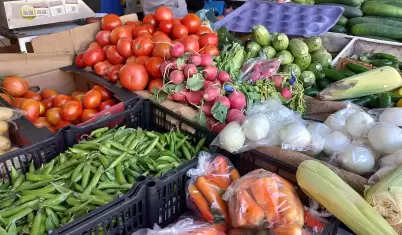 alimentos, verduras