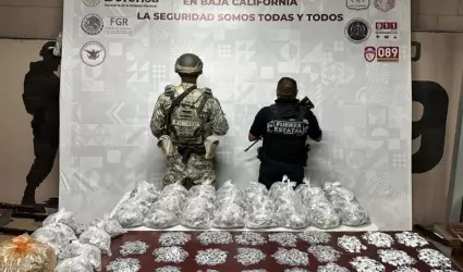 Aseguran ms de 8 kg de drogas