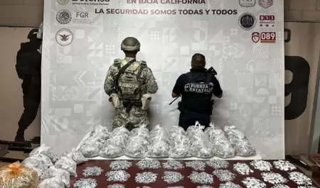 Aseguran más de 8 kg de drogas