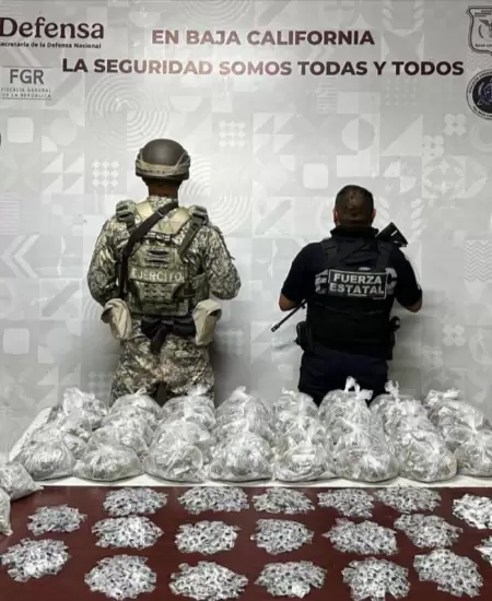 Aseguran más de 8 kg de drogas