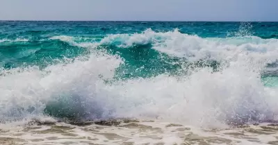 olas