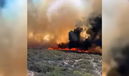 Incendio forestal en La Rumorosa - Tecate