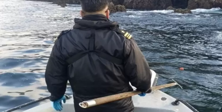 Aseguran artes de pesca prohibidas y libera langostas rojas en Ensenada