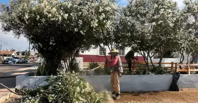 Parque