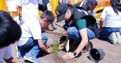 Reforestación en Tijuana