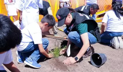 Reforestacin en Tijuana