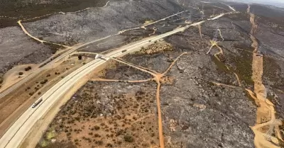 Bajo control incendio forestal en carretera libre Tecate-Mexicali