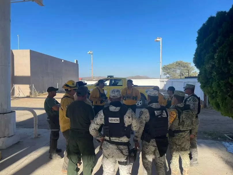 Liquidan incendio forestal en el kilmetro 85 de la carretera libre Tecate-Mexicali