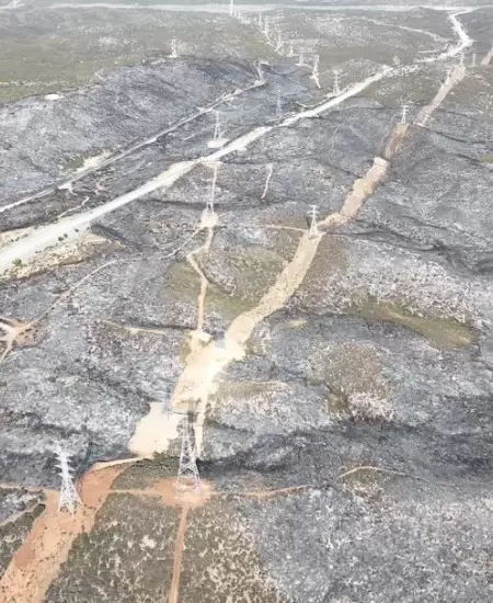 Liquidan incendio forestal en el kilómetro 85 de la carretera libre Tecate-Mexic