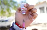 Refuerzan acciones contra rickettsia en Villas del Campo