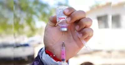 Refuerzan acciones contra rickettsia en Villas del Campo