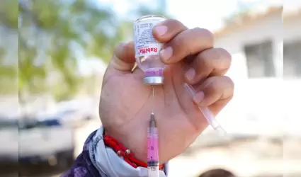 Refuerzan acciones contra rickettsia en Villas del Campo