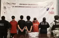 Desmantelan banda de robacoches en Tijuana: hay cuatro detenidos