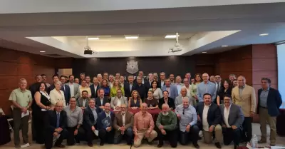 Cmara de Diputados a nivel federal