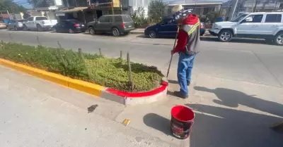 Trabajo Semanal Ensenada