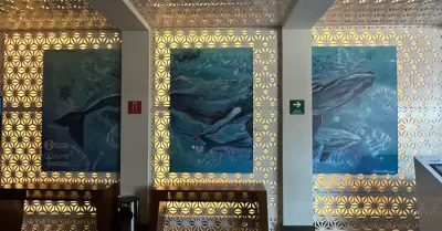Costasalvaje presenta mural de la ballena gris en NewCity Plaza