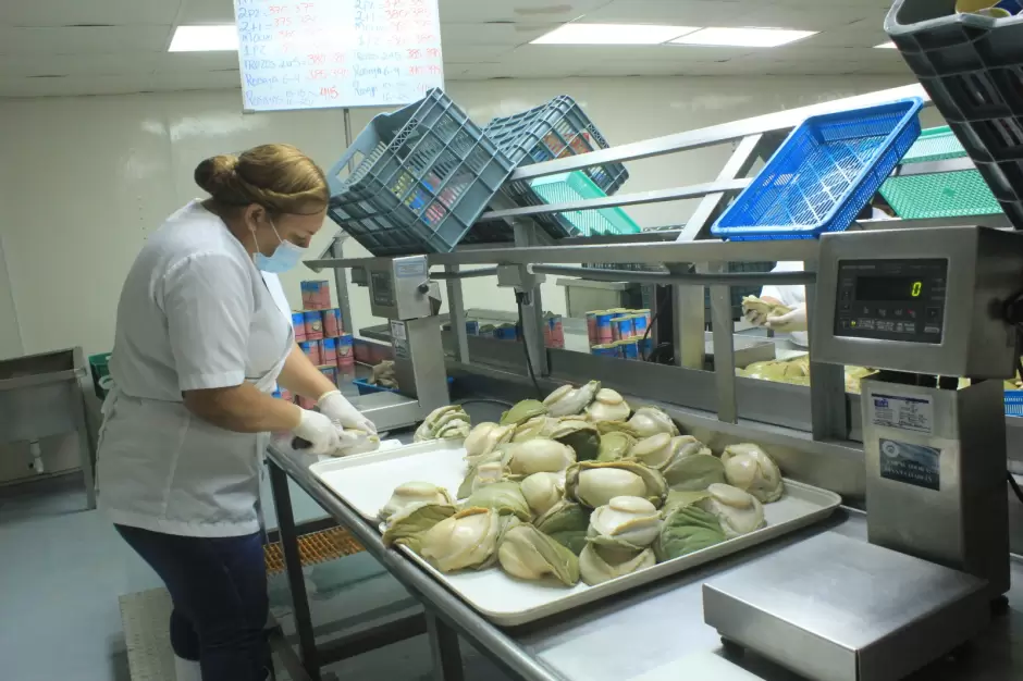 Sociedad Cooperativa de Produccin Pesquera "Pescadores Nacionales de Abuln" (PNA)