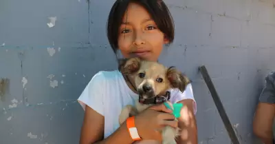 Campaa gratuita de esterilizacin en El Nio