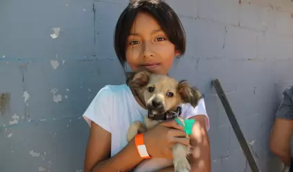 Campaa gratuita de esterilizacin en El Nio