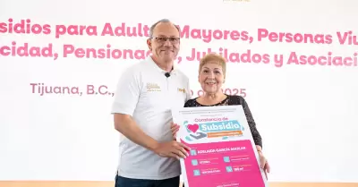 Subsidios de enero a julio de 2025