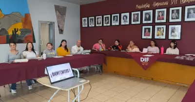 Programa Maestro Sombra