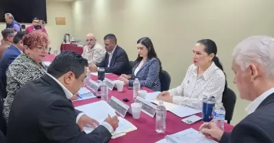 Comisin de Seguridad Ciudadana y Proteccin Civil