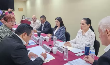 Comisin de Seguridad Ciudadana y Proteccin Civil