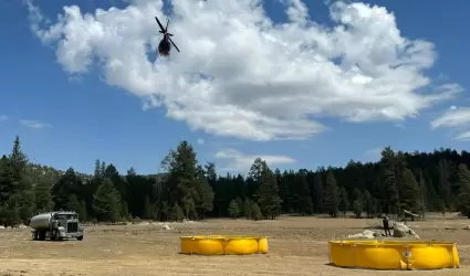 Proteccin Civil Estatal