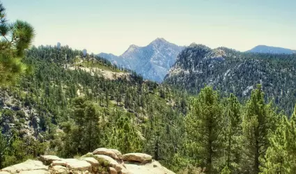 Sierra de San Pedro Mrtir