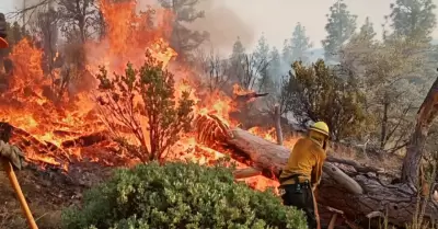 Incendio forestal en San Pedro Mrtir
