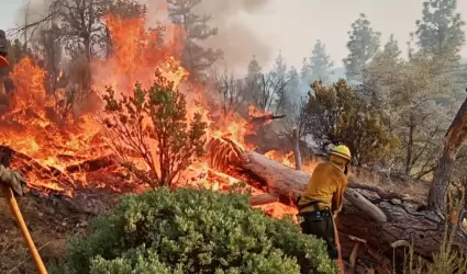 Incendio forestal en San Pedro Mrtir