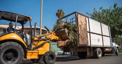 Trabajos de reencarpetado