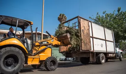 Trabajos de reencarpetado