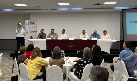 Colaboran docentes