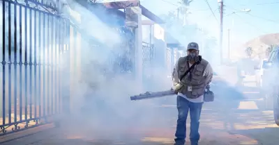 Acciones preventivas contra dengue, zika y chikungunya en Baja California
