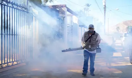 Acciones preventivas contra dengue, zika y chikungunya en Baja California