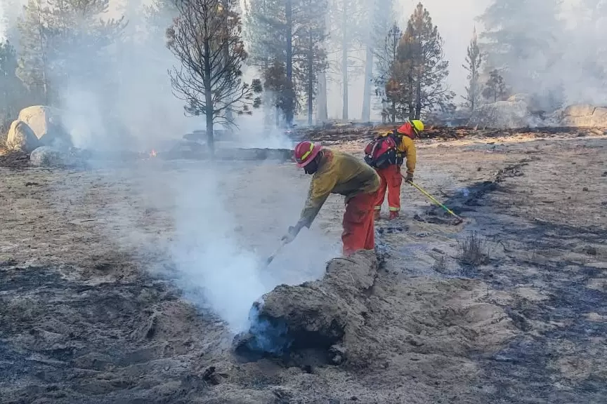 Control y liquidacin del incendio en San Pedro Mrtir