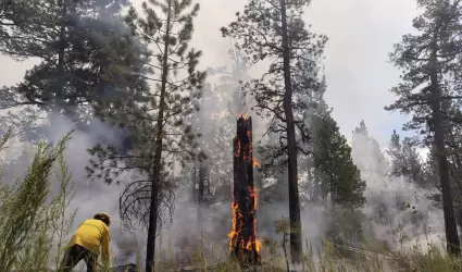 Control y liquidacin del incendio en San Pedro Mrtir