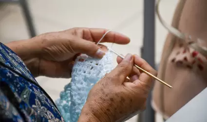 Inscribirse a sus cursos y talles