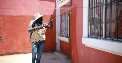 Secretara de Salud de Baja California