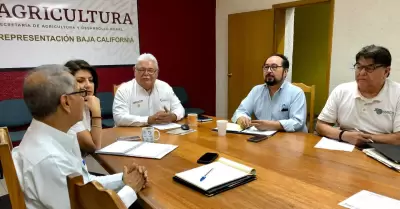 Sector Coordinado de BC