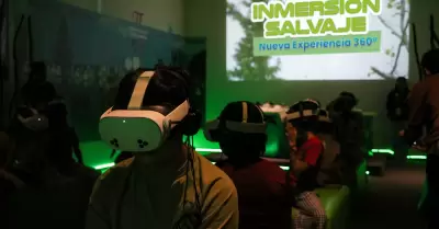 Nueva experiencia 360 "Inmersin Salvaje"