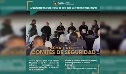 Comits de Seguridad