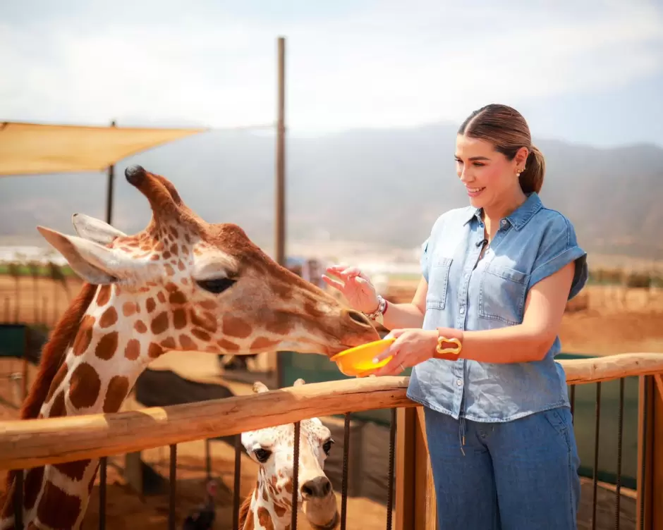 Encabeza gobernadora Marina del Pilar inauguracin de Capybara Village como un espacio familiar y de conservacin animal en Ensenada